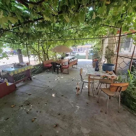 Vila Ioana & Mirel Guest house Eforie Sud (Constanta)
